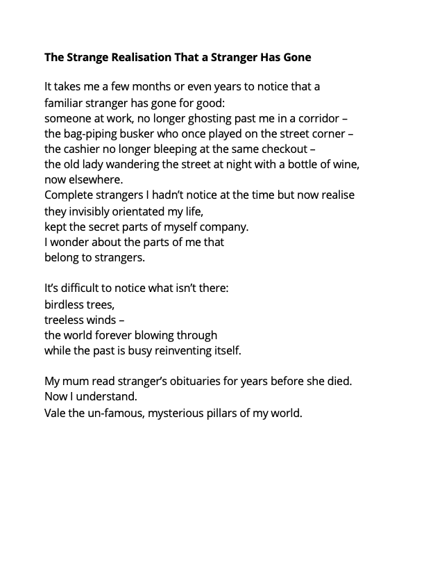 100 POINTS OF ID TO PROVE I DON'T EXIST - poetry, digital download (2020)