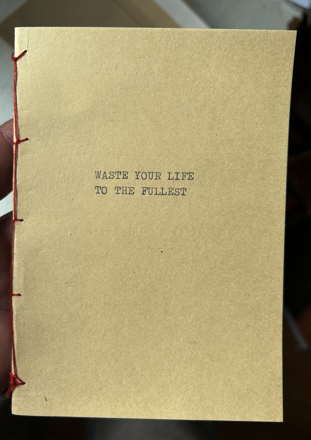 Waste Your Life poem - hand made/typed/stiched booklet (limited edition of 30)