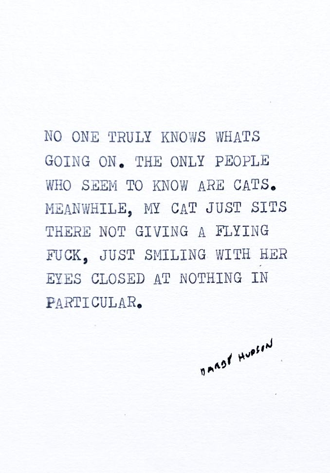 Only Cats - downloadable print file